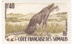 Stamps : Africa : Somalia :  gepardo