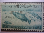 Stamps United States -  Conservación de la Fauna - Salmo Real.