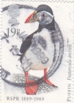 Stamps United Kingdom -  PUFFIN- Fratercula ártica