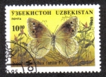 Stamps Uzbekistan -  Neohiprarchia fatua Fr