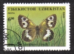 Stamps Uzbekistan -  Kapanasa Abrainovi Ersch