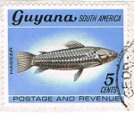Stamps : America : Guyana :  Hassar
