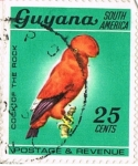 Stamps : America : Guyana :  Cock of the rock