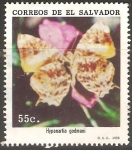 Stamps El Salvador -  MARIPOSAS.  HYPANARTIA  GODMANI.