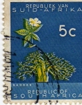 Stamps : Africa : South_Africa :  republiek van suid - afrika