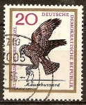 Stamps Germany -  Aves de rapiña europeos, ratonero (DDR).