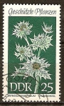 Sellos de Europa - Alemania -  Plantas Protegidas-Sea holly (Eryngium maritmum) DDR.