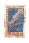 Sellos de America - Uruguay -  Fauna de Uruguay.Calamar