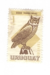 Stamps Uruguay -  Buho