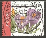 Stamps : Europe : Belgium :  FLORES.   AZAFRANES.