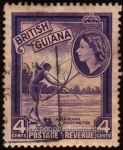 Stamps America - Guyana -  SG 334