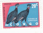 Stamps Democratic Republic of the Congo -  PINTADES DE SCHOUTEDEN