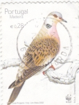 Stamps Portugal -  AVES-MADEIRA  w.w.F