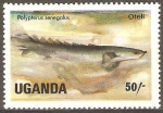 Stamps Uganda -  POLYPTERUS  SENEGALUS