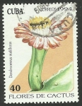 Stamps Cuba -  Cactus