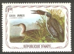 Stamps Haiti -  Fauna, gavia immer