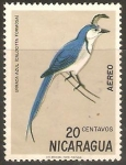 Stamps Nicaragua -  URRACA  AZUL.  CALOCITTA  FORMOSA.