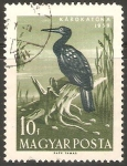 Stamps Hungary -  AVES.  CORMORÀN   GRANDE.