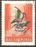Stamps Hungary -  AVES.  GARZA  IMPERIAL  HACIENDO  NIDO.