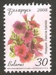 Sellos de Europa - Bielorrusia -  624 - Petunias