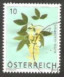 Stamps Austria -  2506 - Flor laburnum alpinum