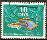 Sellos de Europa - Alemania -  Peces ornamentales-Guppy cola afilada(DDR).