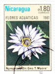 Sellos de America - Nicaragua -  FLORES ACUATICAS