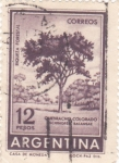 Stamps Argentina -  QUIBRACHO COLORADO