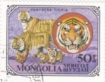 Stamps Mongolia -  PANTERAS