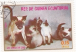 Stamps Equatorial Guinea -  GATA SIAMESA CON CRÍAS