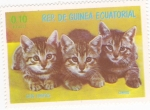 Stamps Equatorial Guinea -  GATOS EUROPEOS