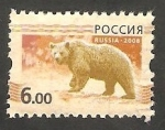 Stamps Russia -  7061 - Oso pardo