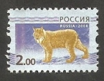 Stamps Russia -  7056 - Un lince