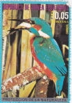 Stamps Equatorial Guinea -   MARTÍN PESCADOR-PROTECCIÓN DE LA NATURALEZA