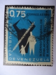 Stamps Venezuela -  IX Censo General de Población  y el III Agropecuario 1960.