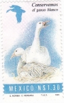 Stamps Mexico -  GANSO BLANCO