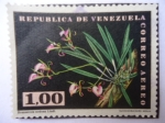 Stamps Venezuela -  Orquídea - Brassavola nodosa Lindi.