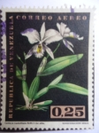 Stamps Venezuela -  Orquídea - Cattleya Gaskelliana Rchb. F. var. alba.