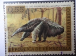 Stamps Venezuela -  El Oso Palmero  Myrmecophga tridactyla
