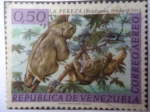 Sellos de America - Venezuela -  La Pereza - Bradypus trydactilus