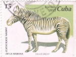 Stamps Cuba -  JARDIN ZOOLÓGICO DE LA HABANA