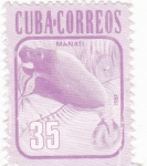 Sellos de America - Cuba -  MANATI