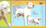 Stamps Argentina -  RAZAS  CANINAS.  DOGO  ARGENTINO.