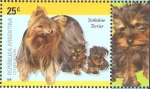 Stamps Argentina -  RAZAS  CANINAS.  YORKSHIRE  TERRIER.