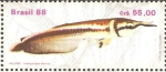 Stamps Brazil -  PECES.  ARUANÀ,  OSTEOGLOS-SUM  FERREIRAI.
