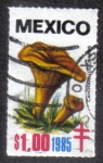 Sellos de America - M�xico -  Hongos