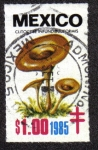 Stamps Mexico -  Hongos