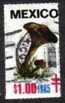 Stamps : America : Mexico :  Hongos