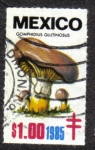 Stamps : America : Mexico :  Hongos