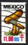 Stamps Mexico -  Hongos